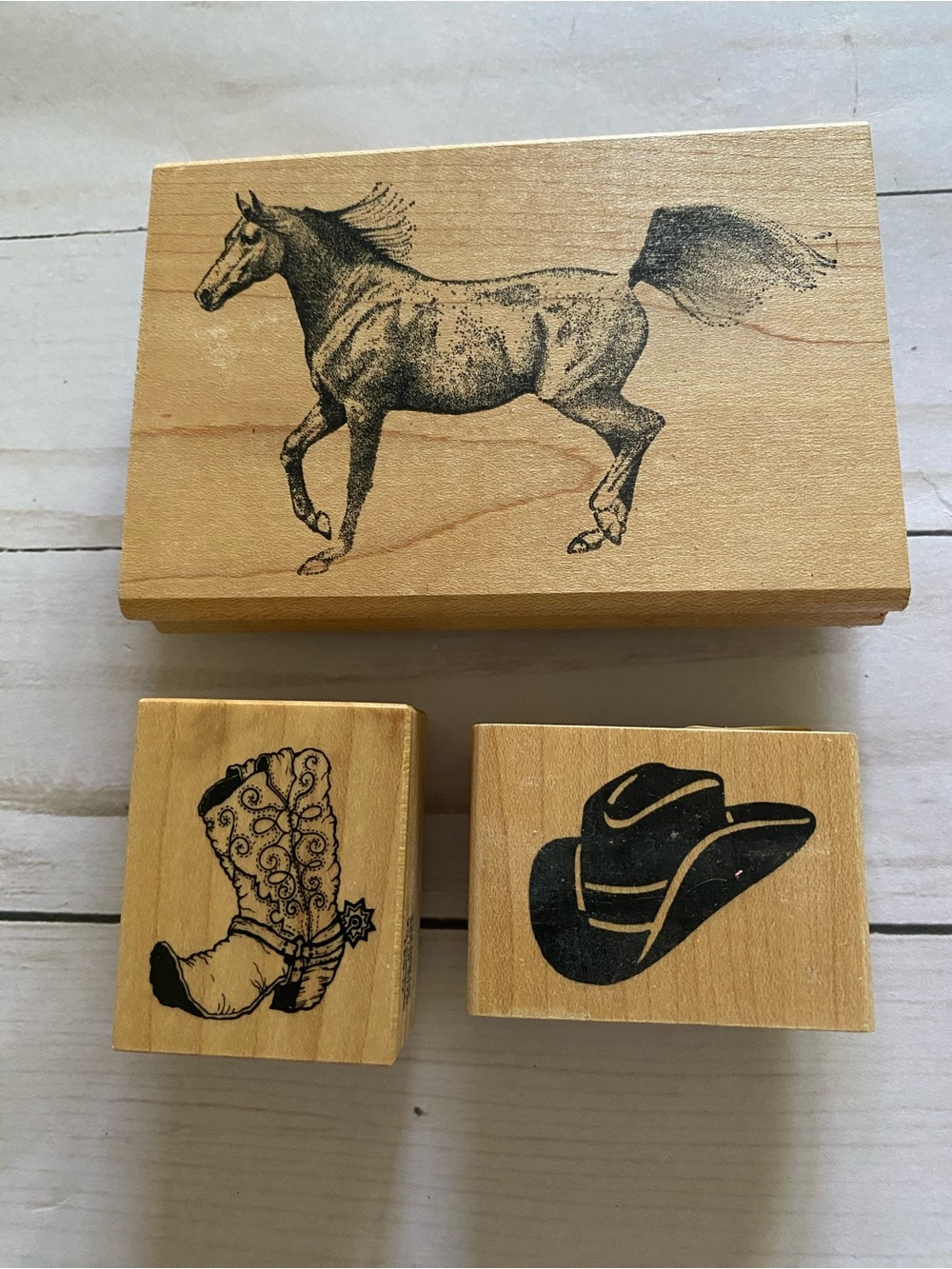 3 pc lot Rubber Stamps Western Theme NEW!